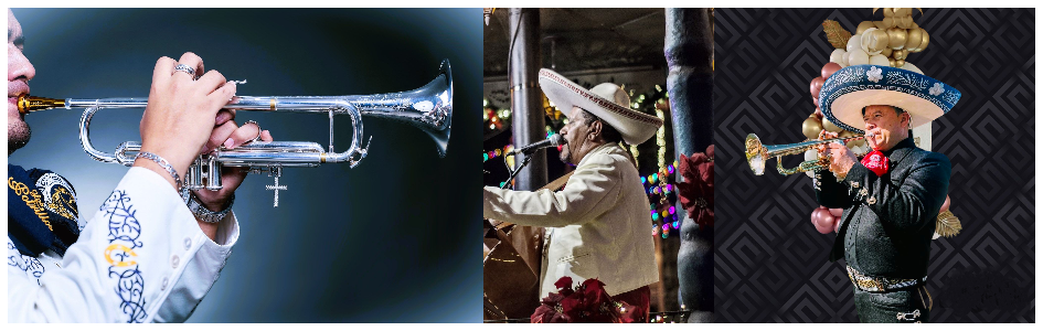 Hero image of Mariachis en Miami professional band